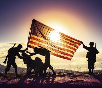 Veterans Day Image